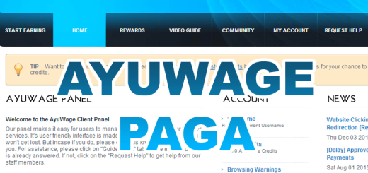 AyuWage paga